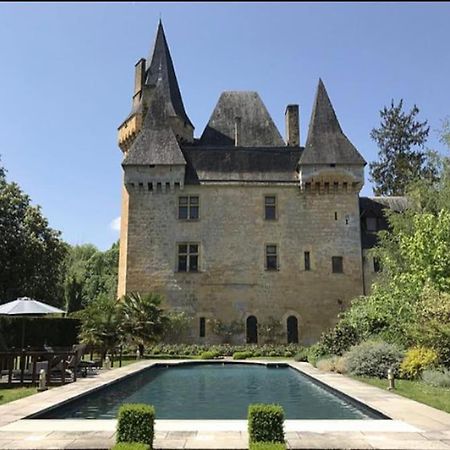 Chateau De Clerans Saint-Leon-sur-Vezere Exterior foto