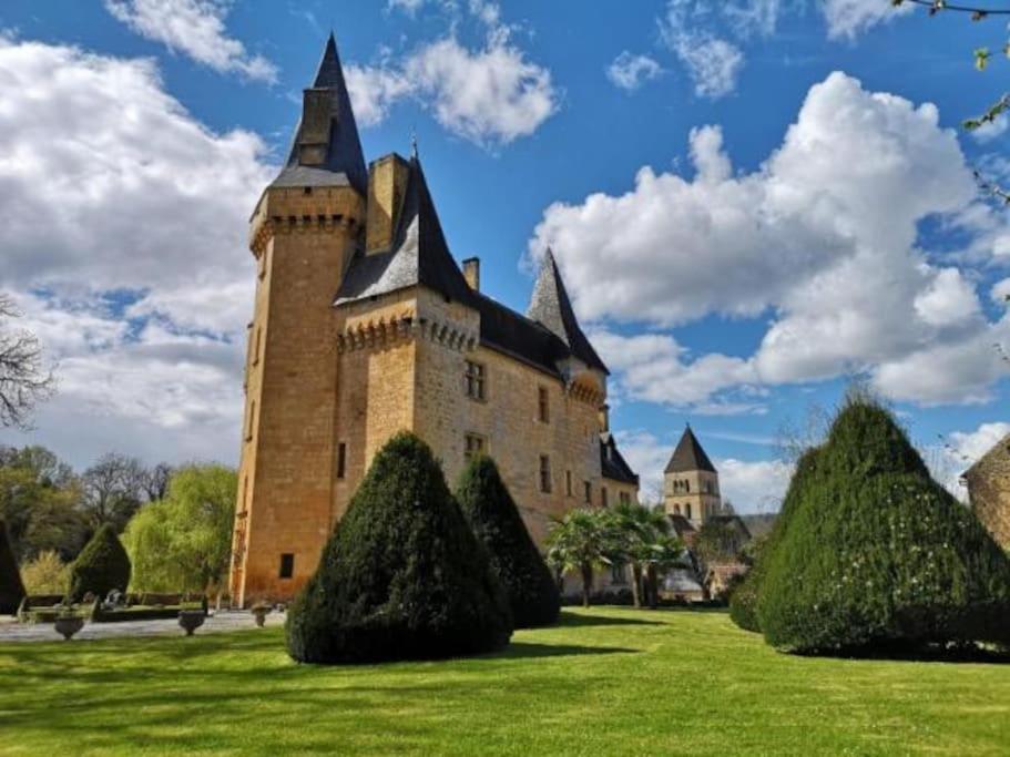 Chateau De Clerans Saint-Leon-sur-Vezere Exterior foto