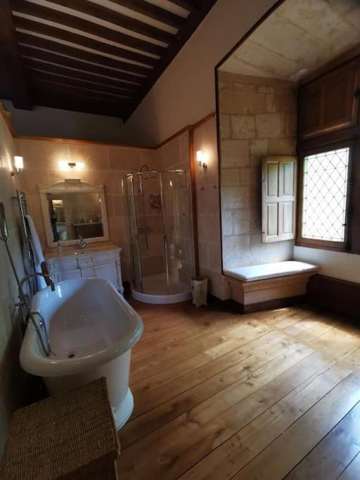 Chateau De Clerans Saint-Leon-sur-Vezere Exterior foto