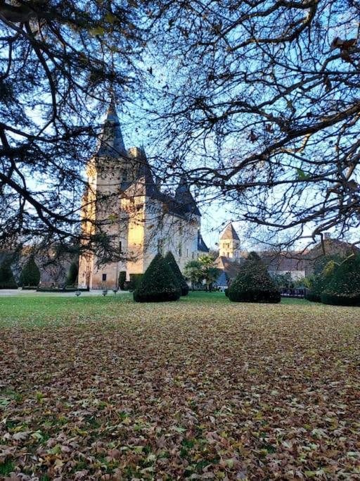 Chateau De Clerans Saint-Leon-sur-Vezere Exterior foto