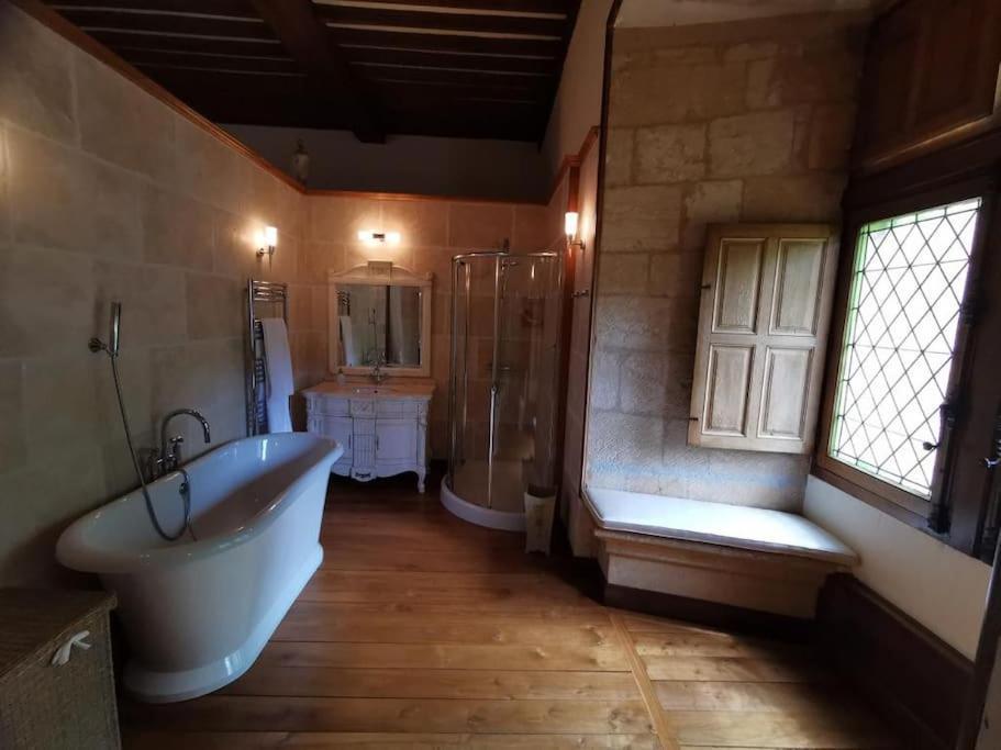 Chateau De Clerans Saint-Leon-sur-Vezere Exterior foto