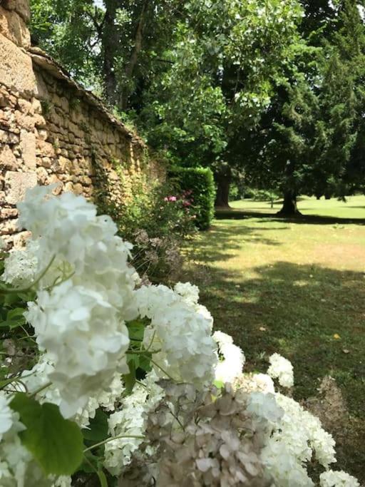 Chateau De Clerans Saint-Leon-sur-Vezere Exterior foto